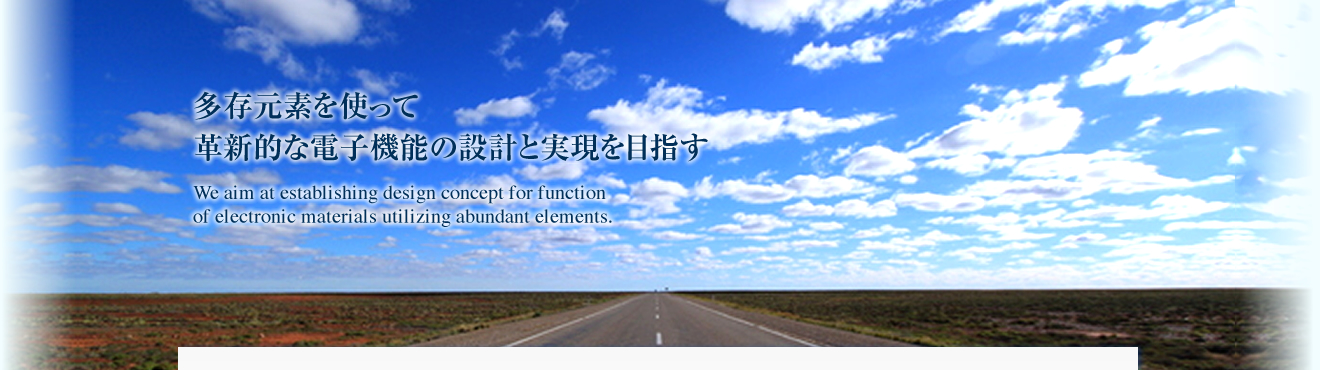 多存元素を使って革新的な電子機能の設計と実現を目指す